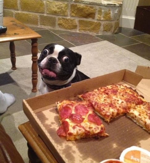 whatcha-eating