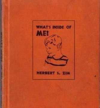 whats inside me