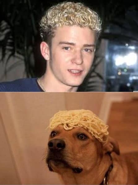 who-wore-it-better