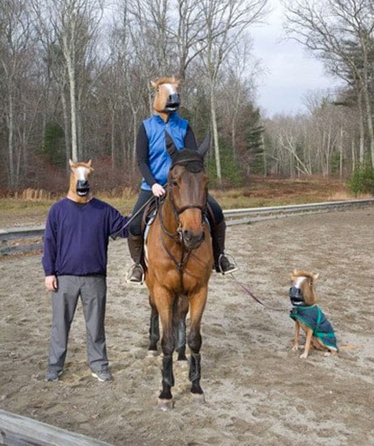 wtf-horse-mask