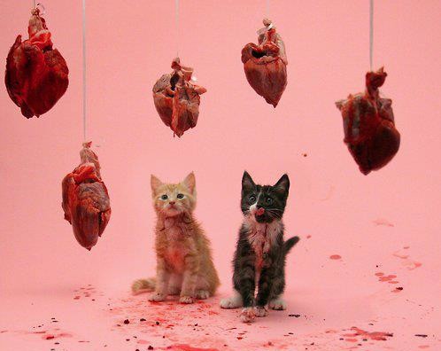 wtf meat art