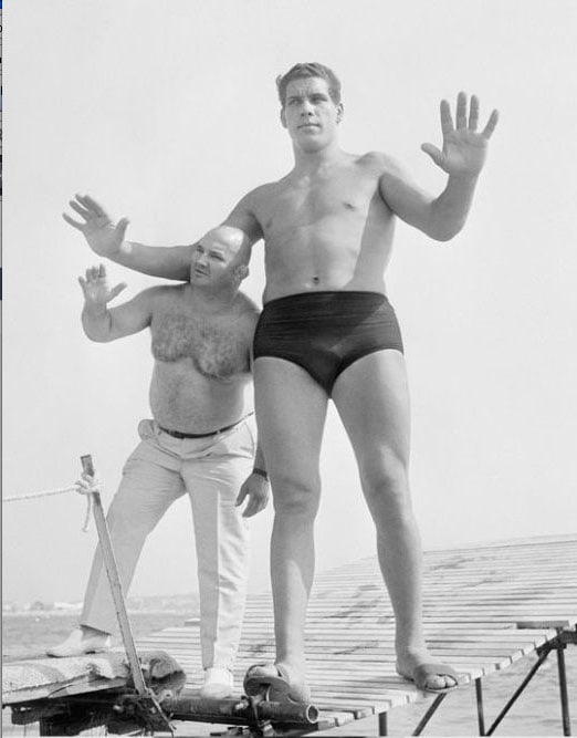 young-andre-the-giant