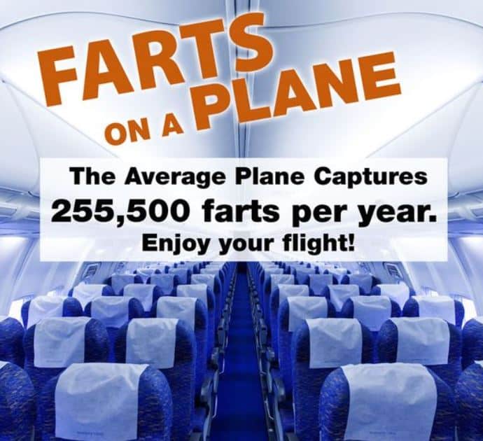 Passenger Wouldn't Stop Farting