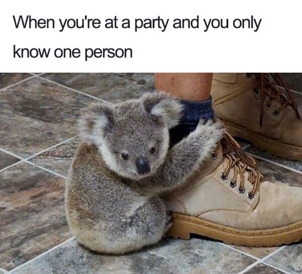 only know one person at party anxiety meme