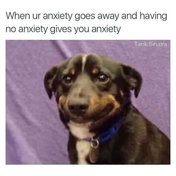 having no anxiety meme