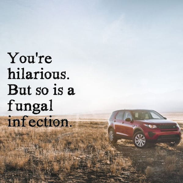 inspirobot generator, funny weird wtf inspirational quotes by a computer, ai puts inspiring words over images, hilariously strange AI, artificial intelligence humor, jokes made by computer
