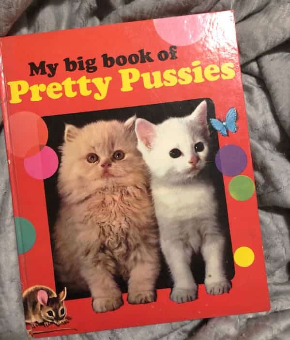 Dirty book titles, innocent books that sound dirty, gross book covers, funny book titles, hilarious covers, wtf, why, lol, humor, reading, obscure library books, good reads