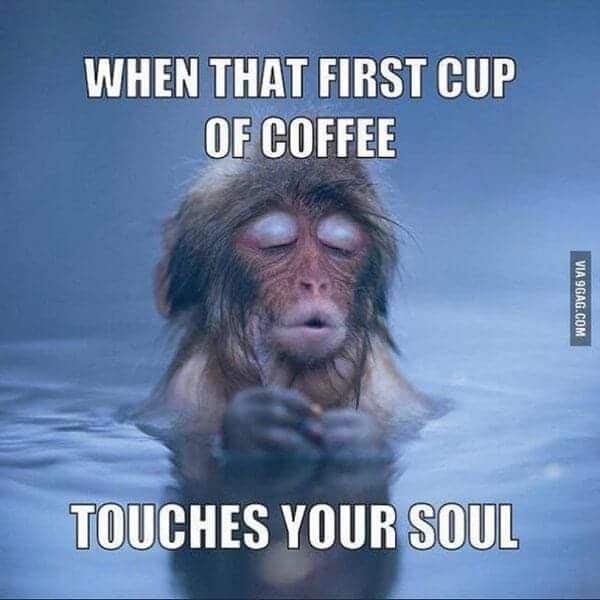 first cup of coffee meme