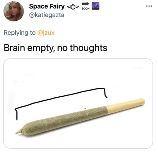 Funny joint memes, jokes about social anxiety, hilarious meme about what it’s like to get high, smoke a blunt, 420, drugs, twitter