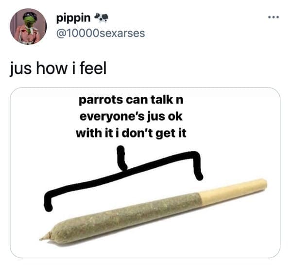 Funny joint memes, jokes about social anxiety, hilarious meme about what it’s like to get high, smoke a blunt, 420, drugs, twitter