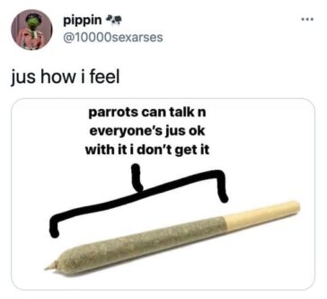 funnyjointmemes24 WorldWideInterweb