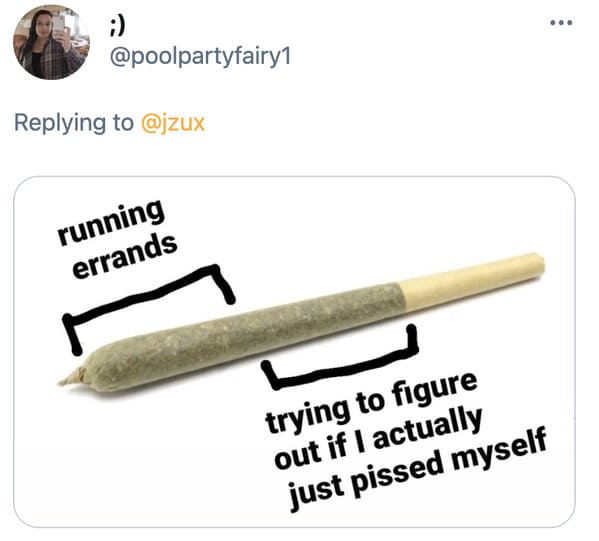 Funny joint memes, jokes about social anxiety, hilarious meme about what it’s like to get high, smoke a blunt, 420, drugs, twitter