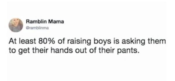 raising boys is easier, funny parenting memes, kids, jokes