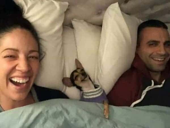 happy dog between couple on pillow, Important animal images, Funny animal photos, pics of pets doing weird and funny things, funny moments with dog caught on camera, Facebook page compiles best animal images, impanimal
