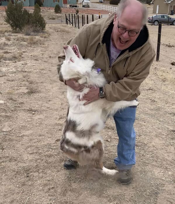 Sweet old dog leaping up on older man, Uplifting wholesome images, nice pictures of animals and people, humanity restored, wholesome pics, reddit, r wholesome, funny cute animals, feeling good