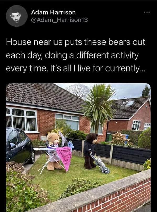 tweet with stuffed animal bears doing housework on front lawn, Uplifting wholesome images, nice pictures of animals and people, humanity restored, wholesome pics, reddit, r wholesome, funny cute animals, feeling good