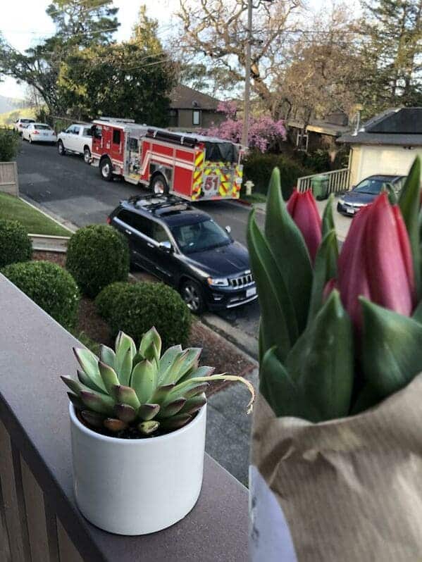 flowers on window with fire truck riding down the street, Uplifting wholesome images, nice pictures of animals and people, humanity restored, wholesome pics, reddit, r wholesome, funny cute animals, feeling good