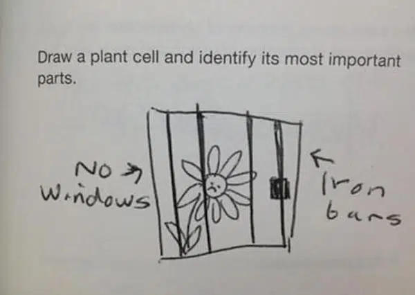 30. I would've never imagined a plant cell look like this, but now I know. Thanks kid.