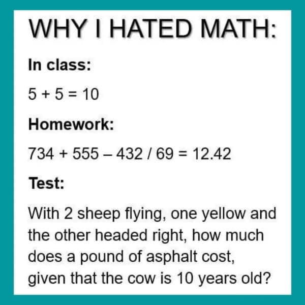 math meme - in class homework test