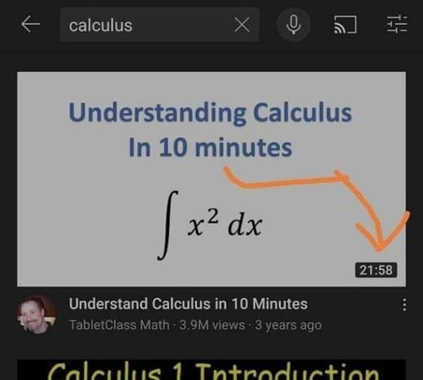 math meme - understanding calculus