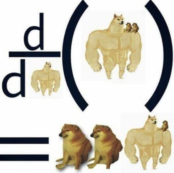 math meme - math Doge