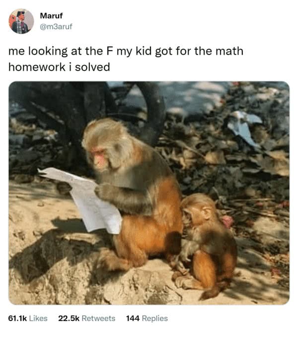 math meme - F on math homework