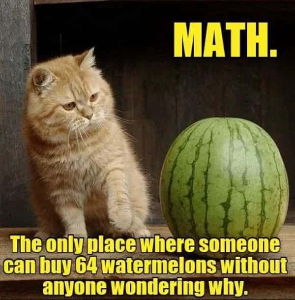 math meme - watermelons