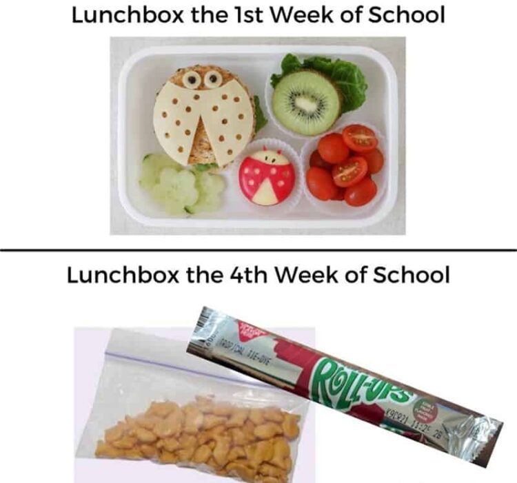 20 Funny Back To School Memes That Deserve An A